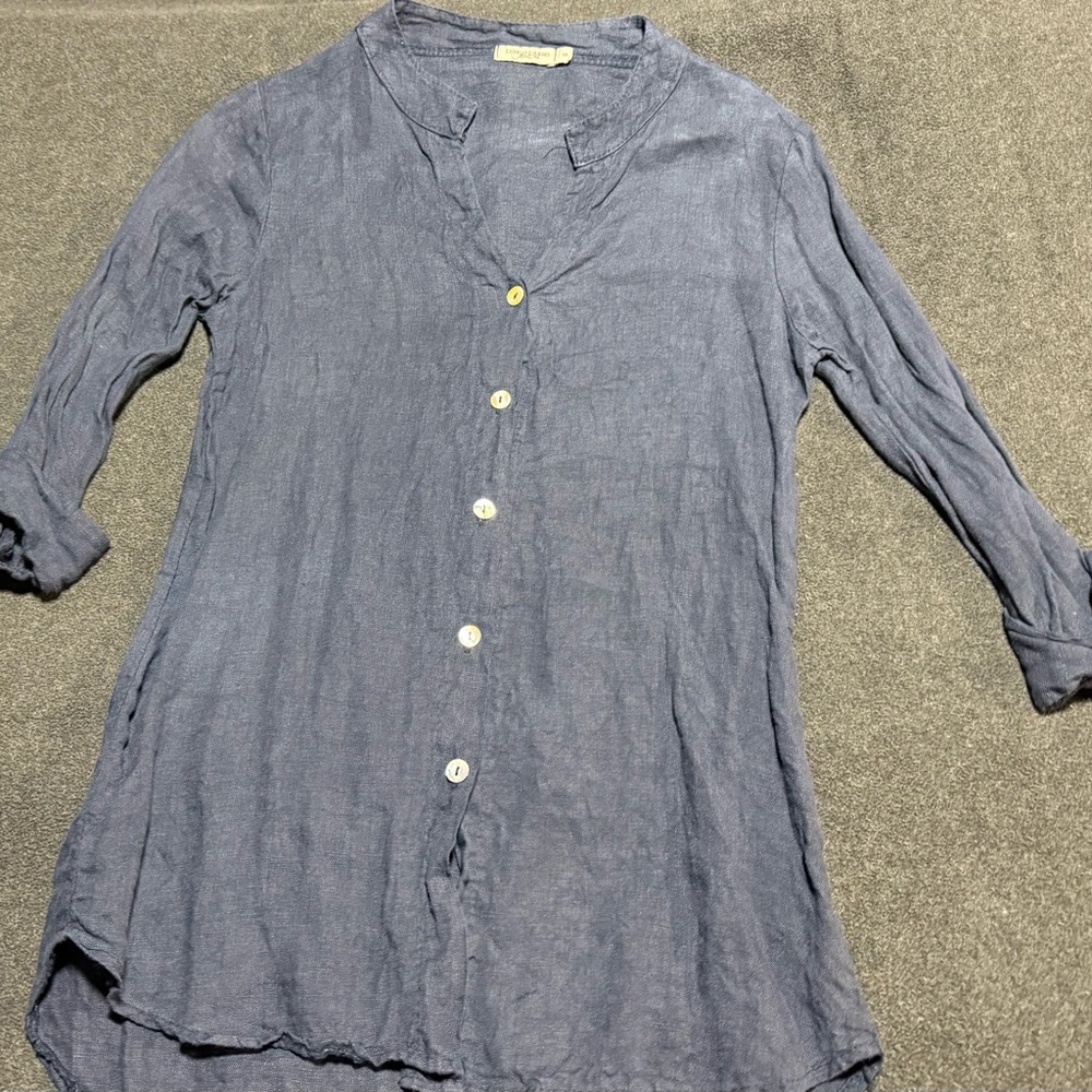 Casual Blue Button-Up Blouse